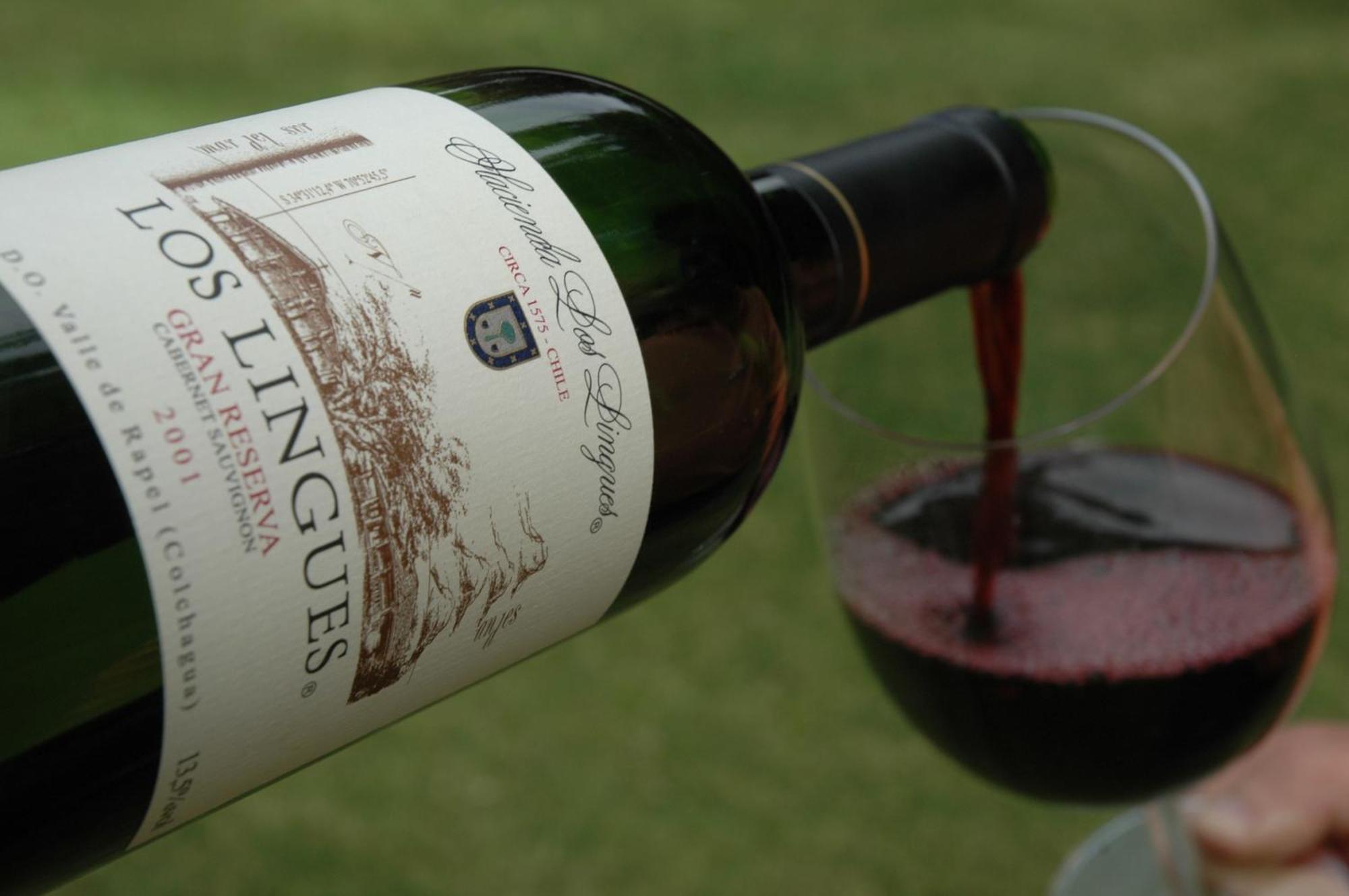Hacienda Los Lingues Chile Valle De Colchagua 외부 사진