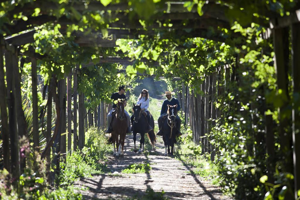 Hacienda Los Lingues Chile Valle De Colchagua 외부 사진
