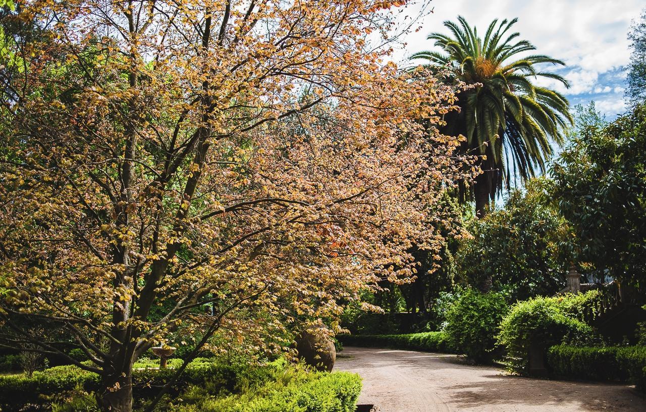 Hacienda Los Lingues Chile Valle De Colchagua 외부 사진